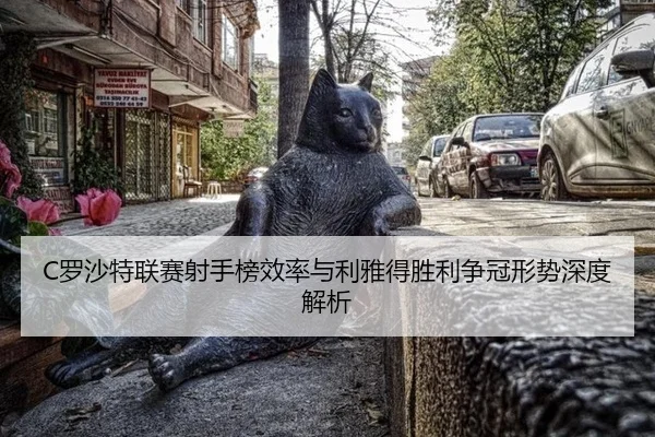 luo-sha-te-lian-sai-she-shou-bang-xiao-lv-yu-li-ya-de-sheng-li-zheng-guan-xing-shi-shen-du-jie-xi-2-306.jpg