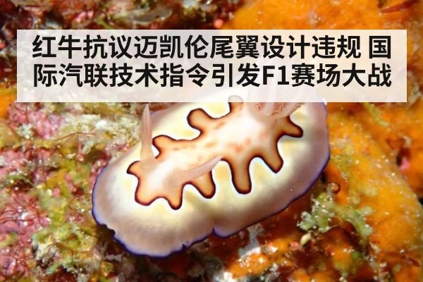 红牛抗议迈凯伦尾翼设计违规 国际汽联技术指令引发F1赛场大战