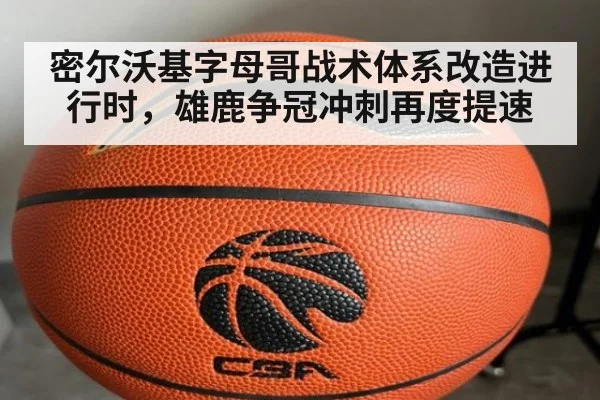 密尔沃基字母哥战术体系改造进行时，雄鹿争冠冲刺再度提速